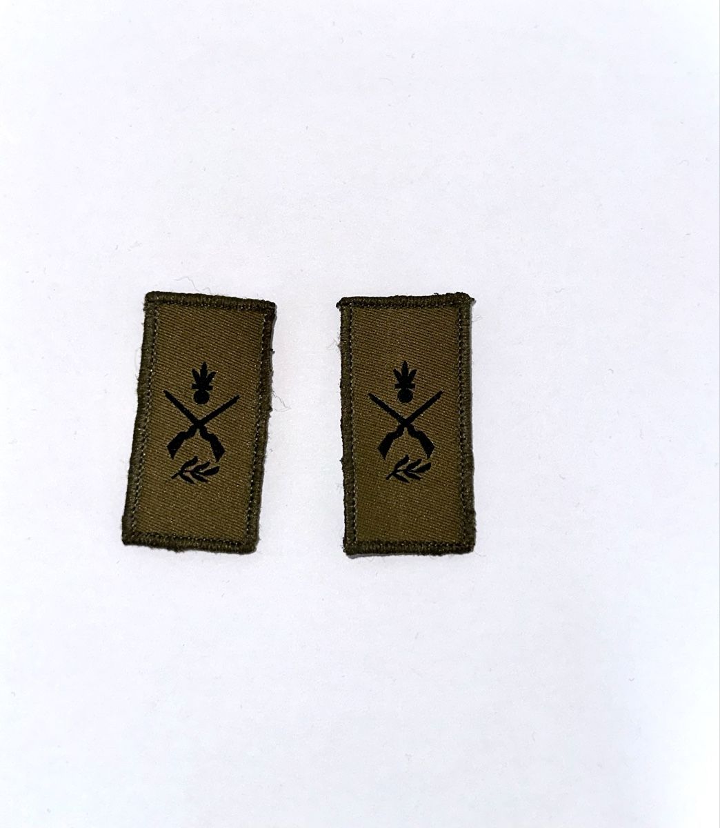 Schweizer Armee Placchette & Badge: Truppengattung Infanterie Klett – Usato da Rifferswil venduto da n.megert