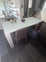 Esstisch Glas weiss satiniert und 4 Stühle Leder braun