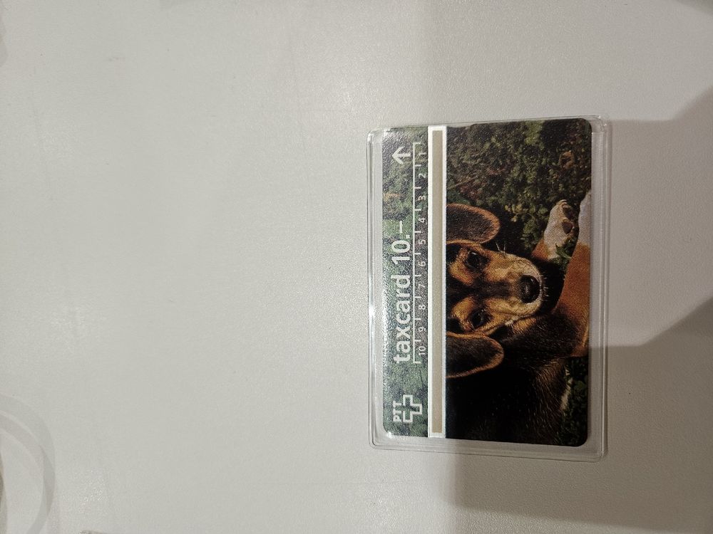 Cartes de téléphone: Swisscom Taxcard 10.- mit Hunde-Motiv - Rarität! – D'occasion à Wiler b.Utzenstorf par Ired