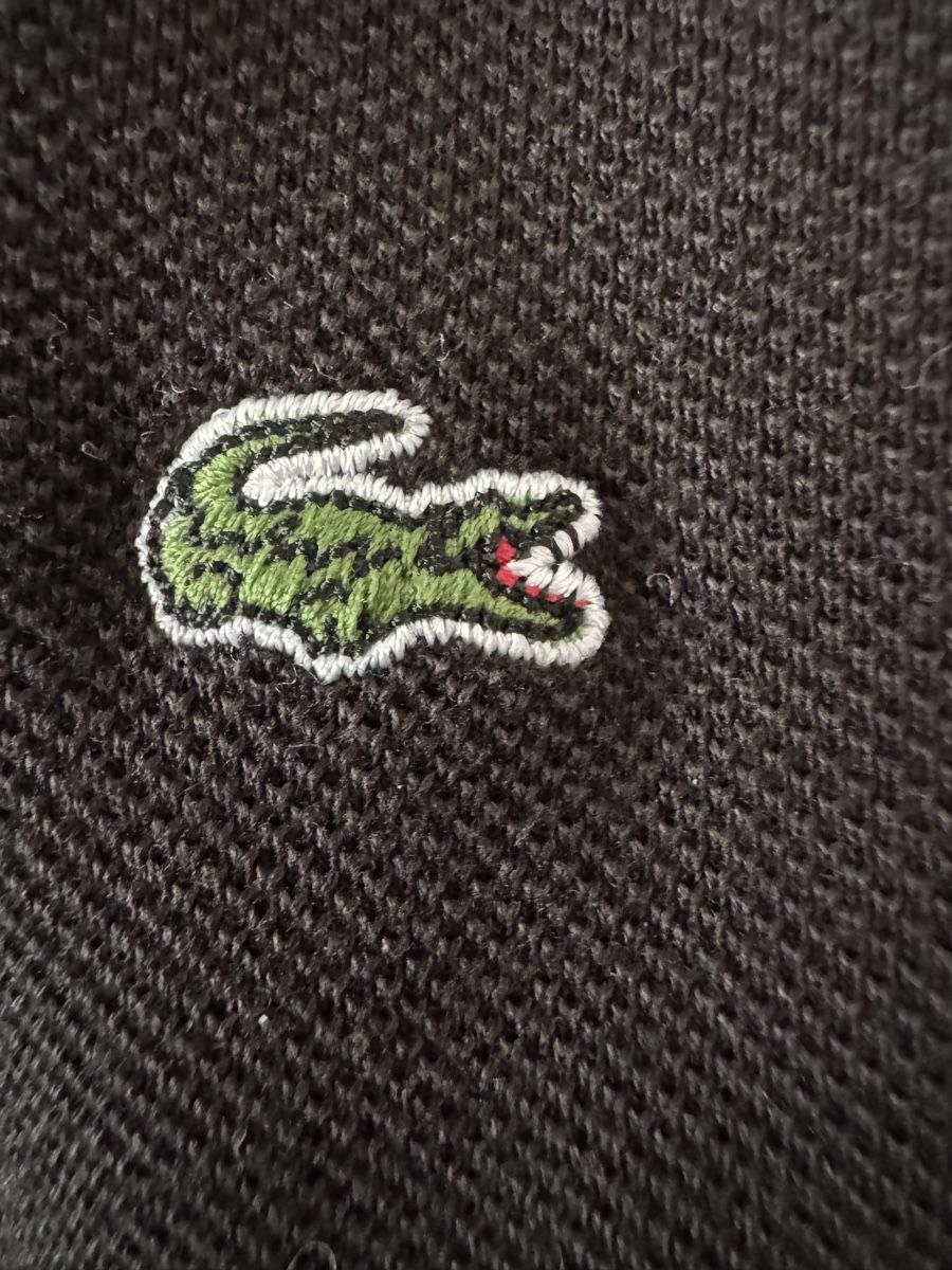 Lacoste Magliette Polo: Lacoste Poloshirt – Usato da Obfelden venduto da cesarina10 1