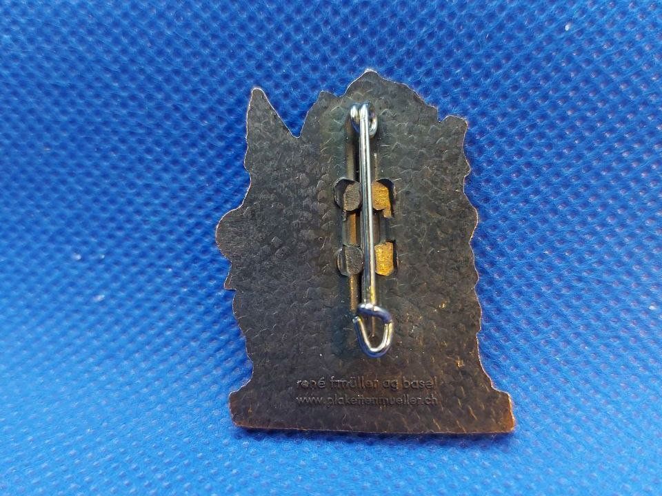 Placchette & Badge: FASNECHT Lieschtel 2020 Abzeichen – Usato da Bassersdorf venduto da antikvintage 1