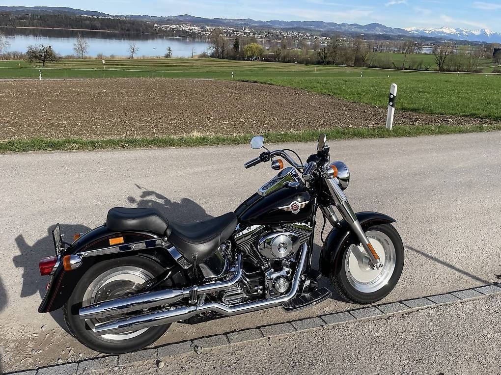 Chopper: Harley Davidson FLSTF Fat Boy – Usato da Uetikon am See venduto da and_gr8m 4
