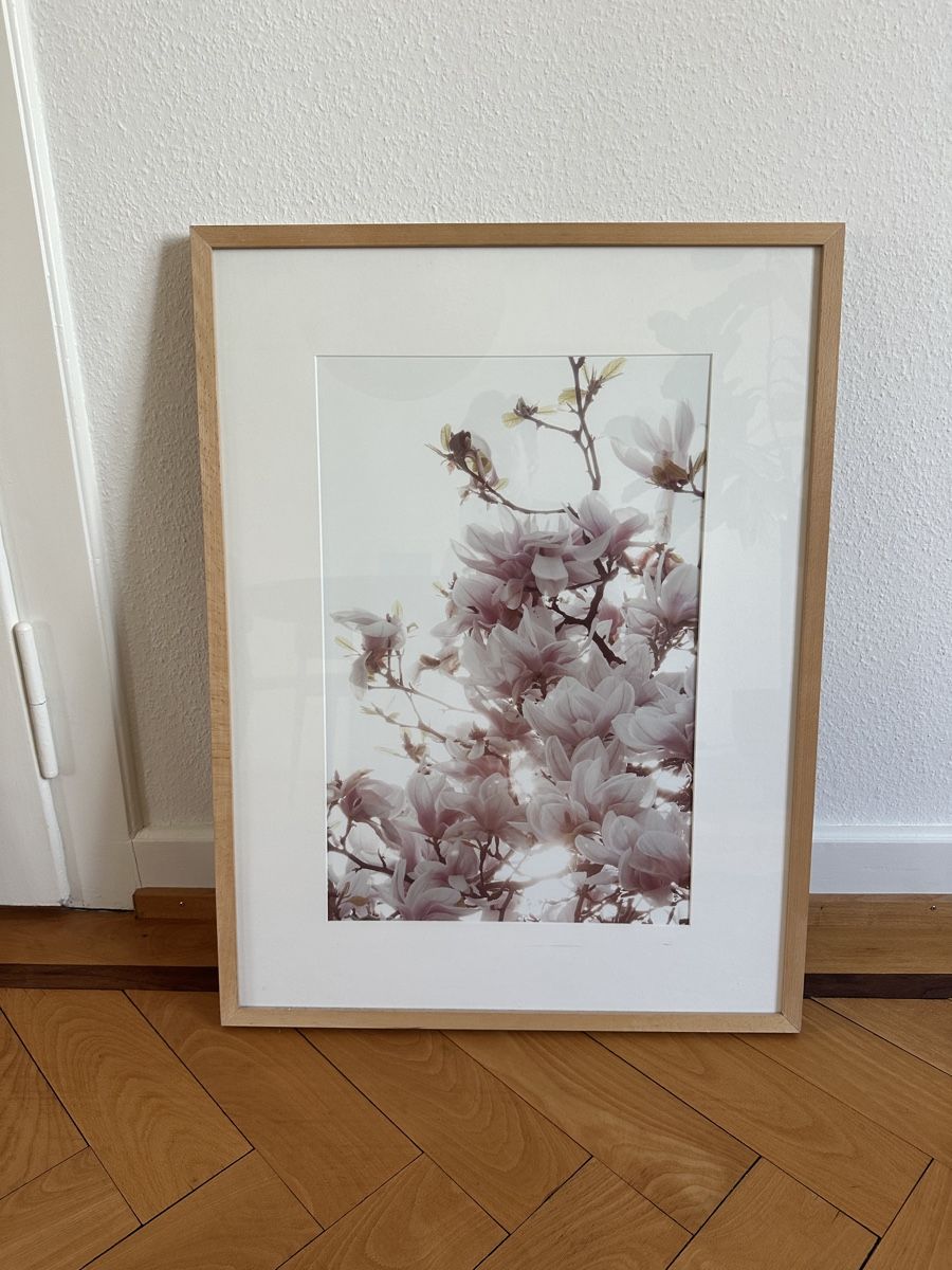 Foto & Immagini: Photoprint Magnolien – Nuovo (secondo la descrizione) da Zürich venduto da Clausiuus