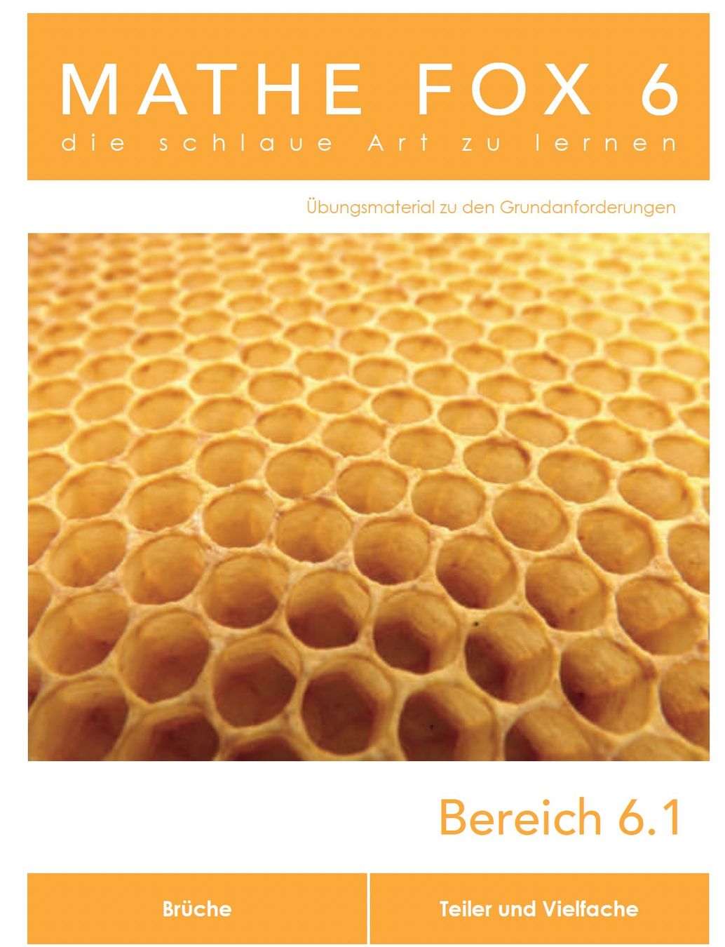 Chiavette USB: Mathe Fox 6 USB-Stick mit Übungsmaterial – Usato da Witterswil venduto da Caspar 3