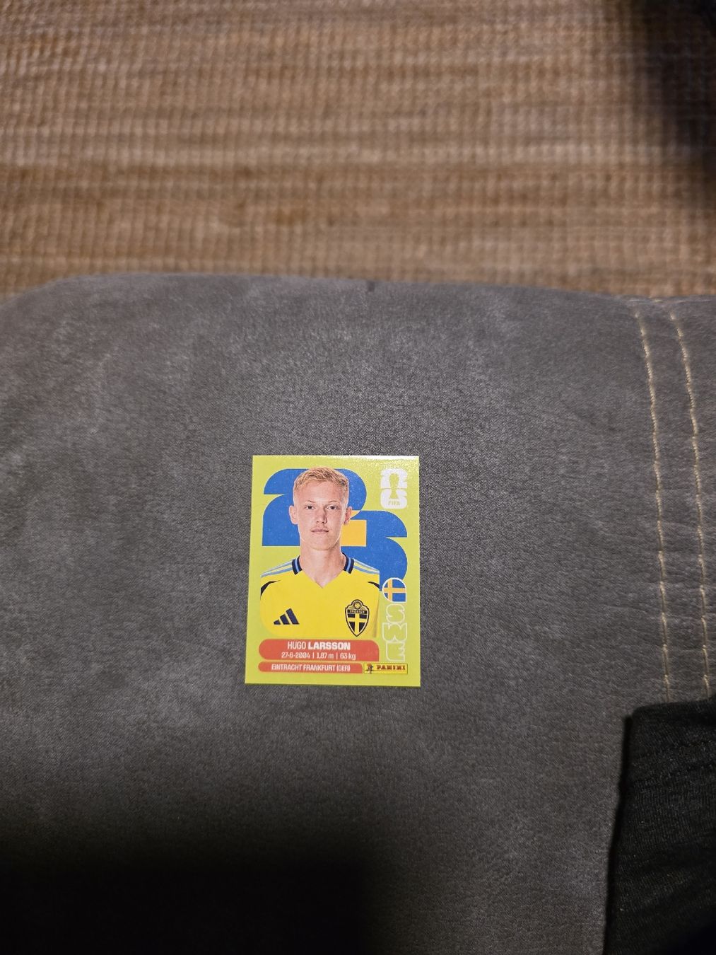 Panini Carte collezionabili: Panini WM 2026 SWE 9 Larsson – Nuovo (secondo la descrizione) da Romanshorn venduto da leeh78