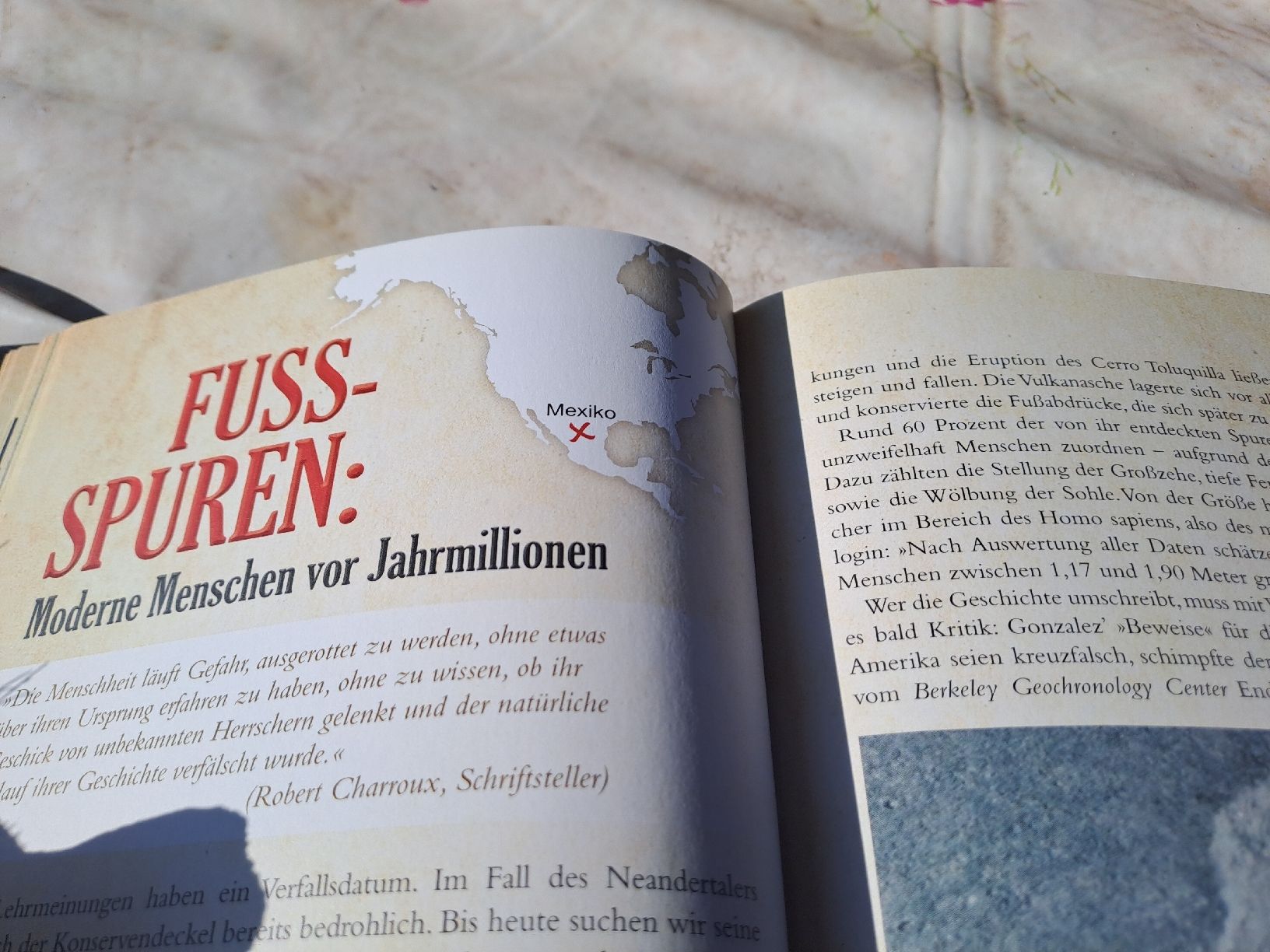 Libri: Lexikon der verbotenen Archäologie – Usato da Zürich venduto da Schoebi19 7