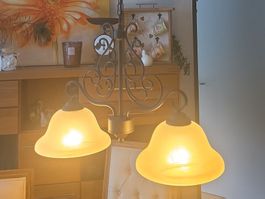 Deckenleuchte Metall mit zwei Glasschirmen und Leuchtmittel