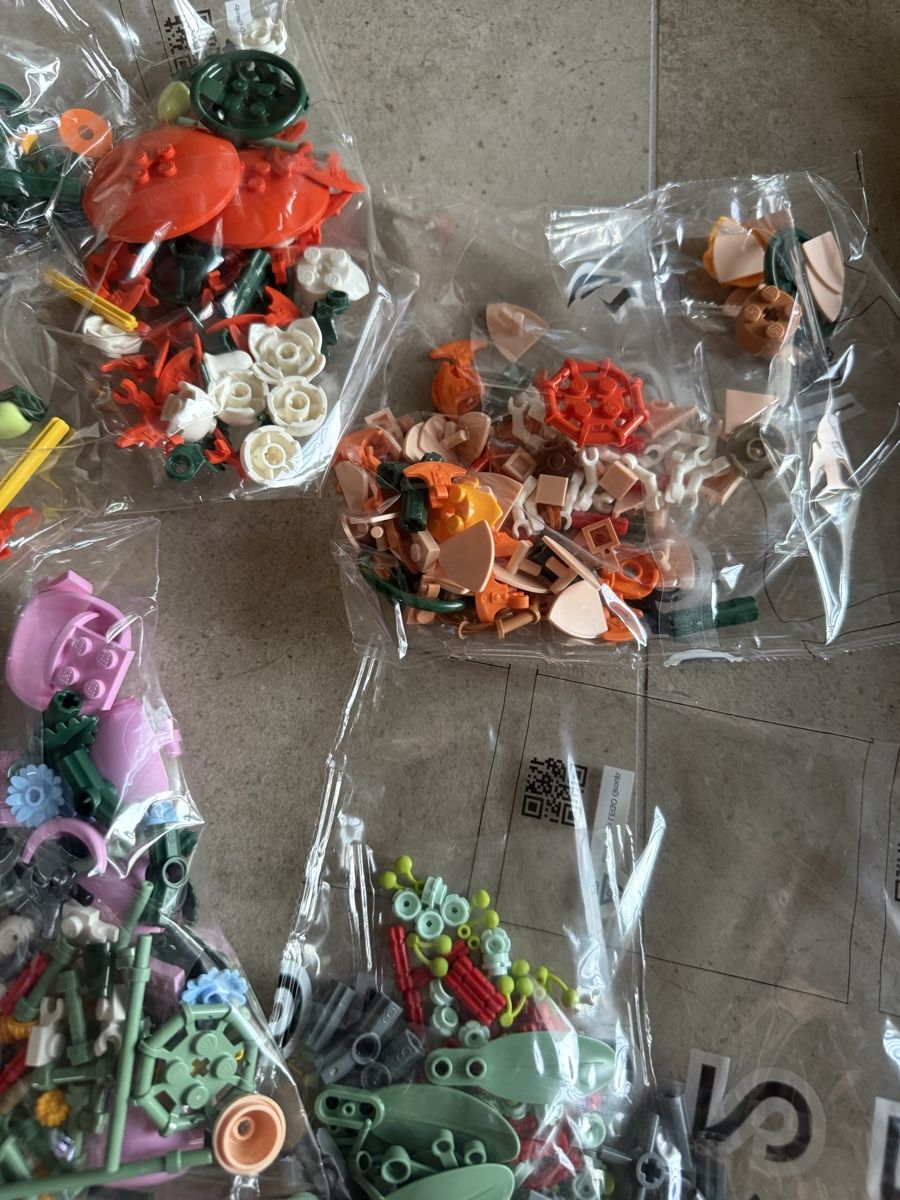 Lego Jouets: LEGO Botanicals ungeöffnet – Neuf (Voir description) à Hüttwilen par sar_8gj7 1