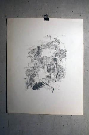 Tutti i francobolli: wohl BÄNZIGER (Schweiz, 20. Jh.) – Usato da Bern venduto da Arting 4