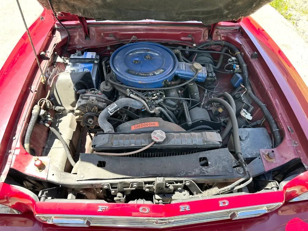 Ford Automobili: 1975 Ford Mustang II Mach 1 – Usato da Ried-Brig venduto da V8_Andy 9