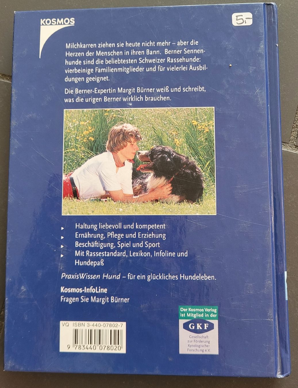 Libri: Buch Berner Sennenhund  – Usato da Kappel SO venduto da Matschi86 1