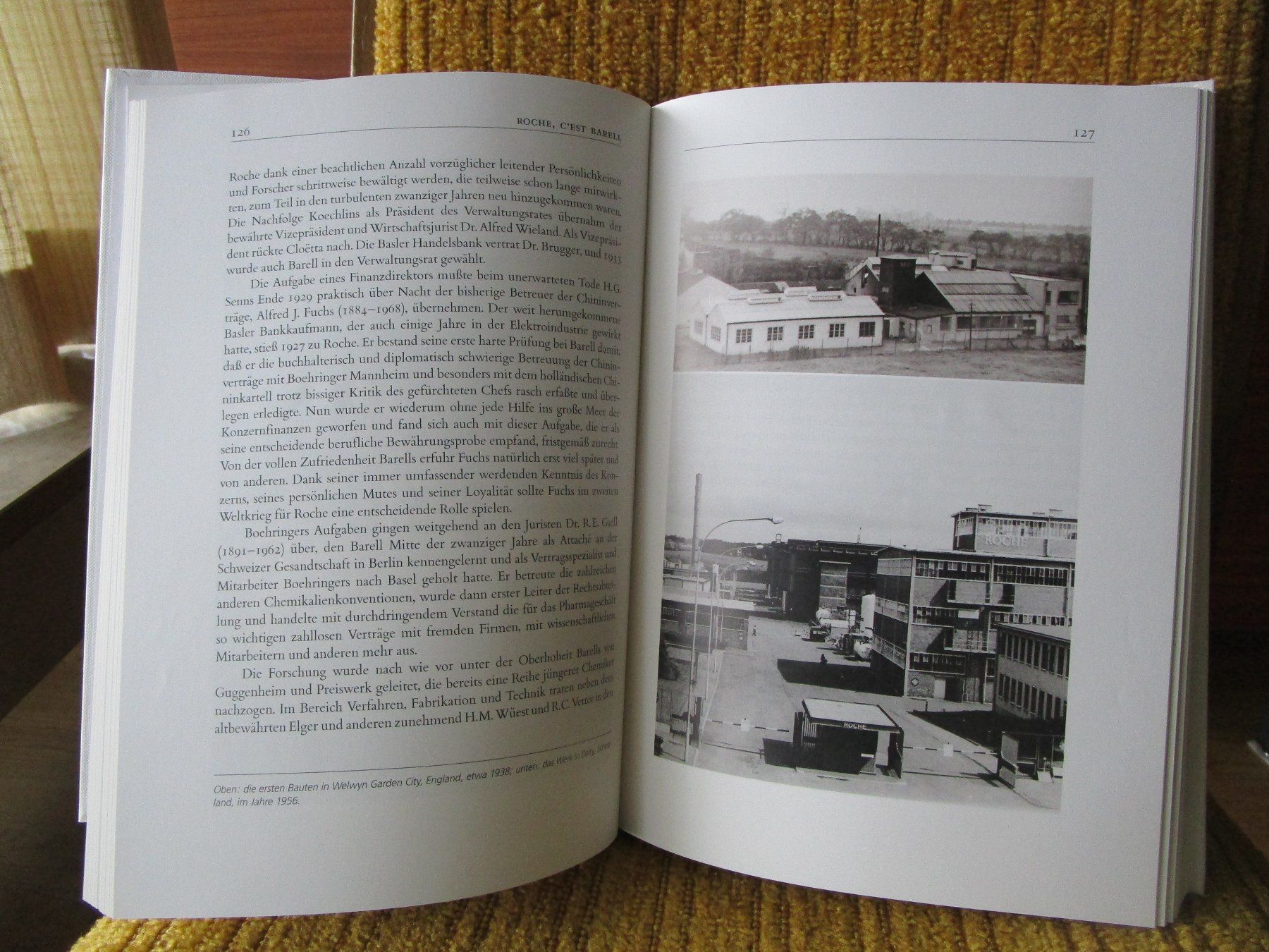 Libri: Buch Roche 1896 - 1996 – Usato da Reinach BL venduto da Hagast 2