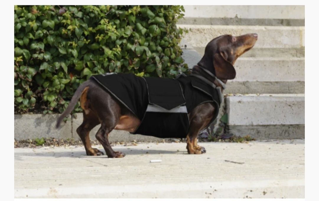 Abbigliamento: Dackel Winterhundemantel Pepper Petwear – Nuovo (secondo la descrizione) da Ottoberg venduto da Aladin80 6