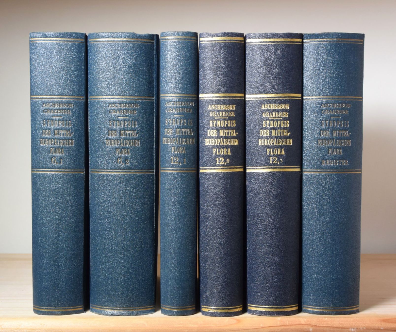Bücher: Botanik: Synopsis der Mitteleuropäischen Flora, 13 Bände – Gebraucht aus Erschwil von taglang 1