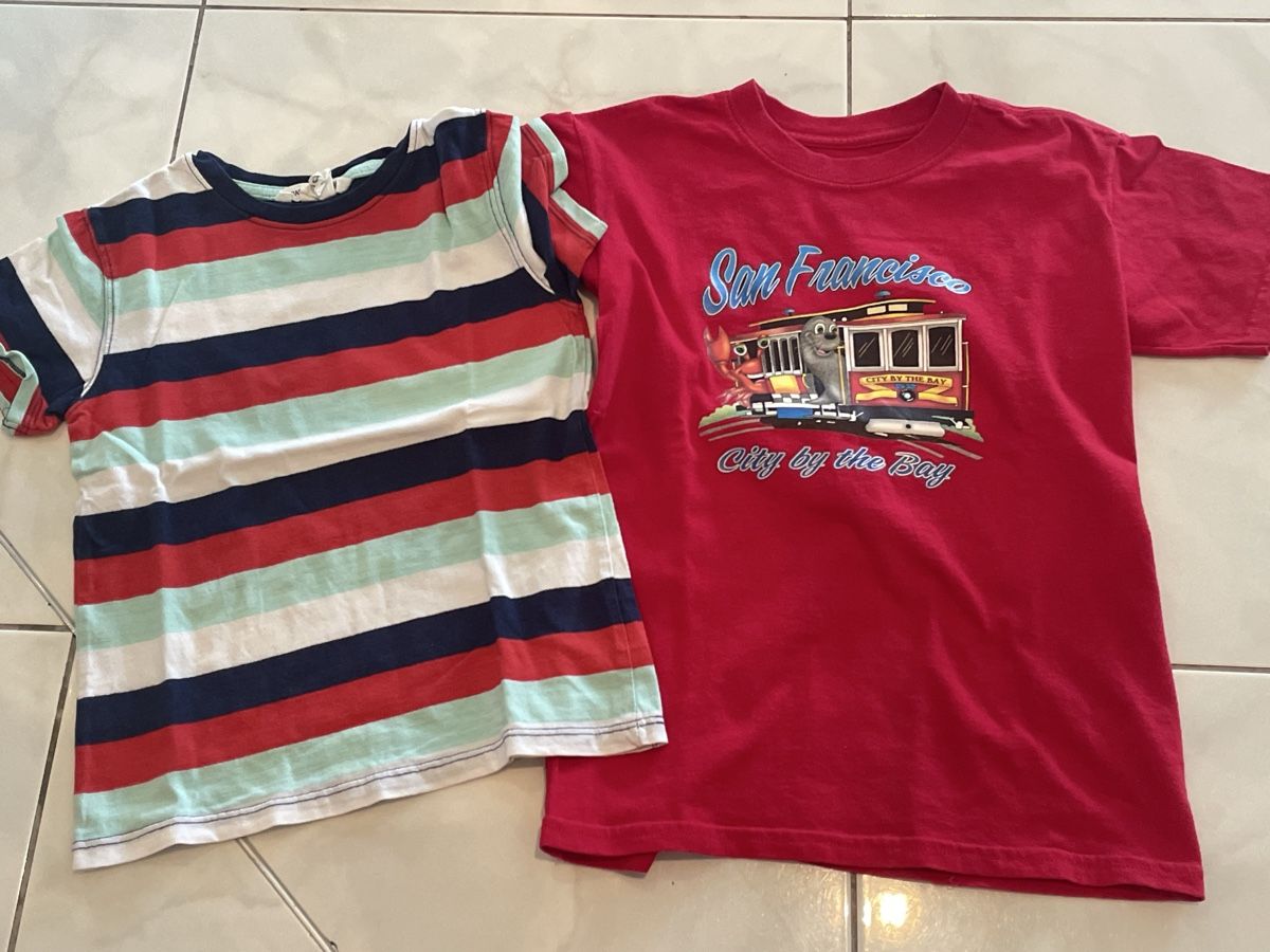 Lotti & Set di vestiti: Diverse Oberteile Gr 110/116 – Usato da Kriens venduto da boramisch 2