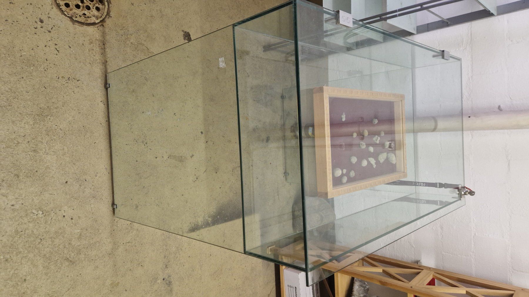 Vitrinen: Glasvitrine – Gebraucht aus Niederhasli von rehauge01 6