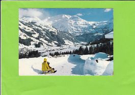Lenk--Schlittenfahrt