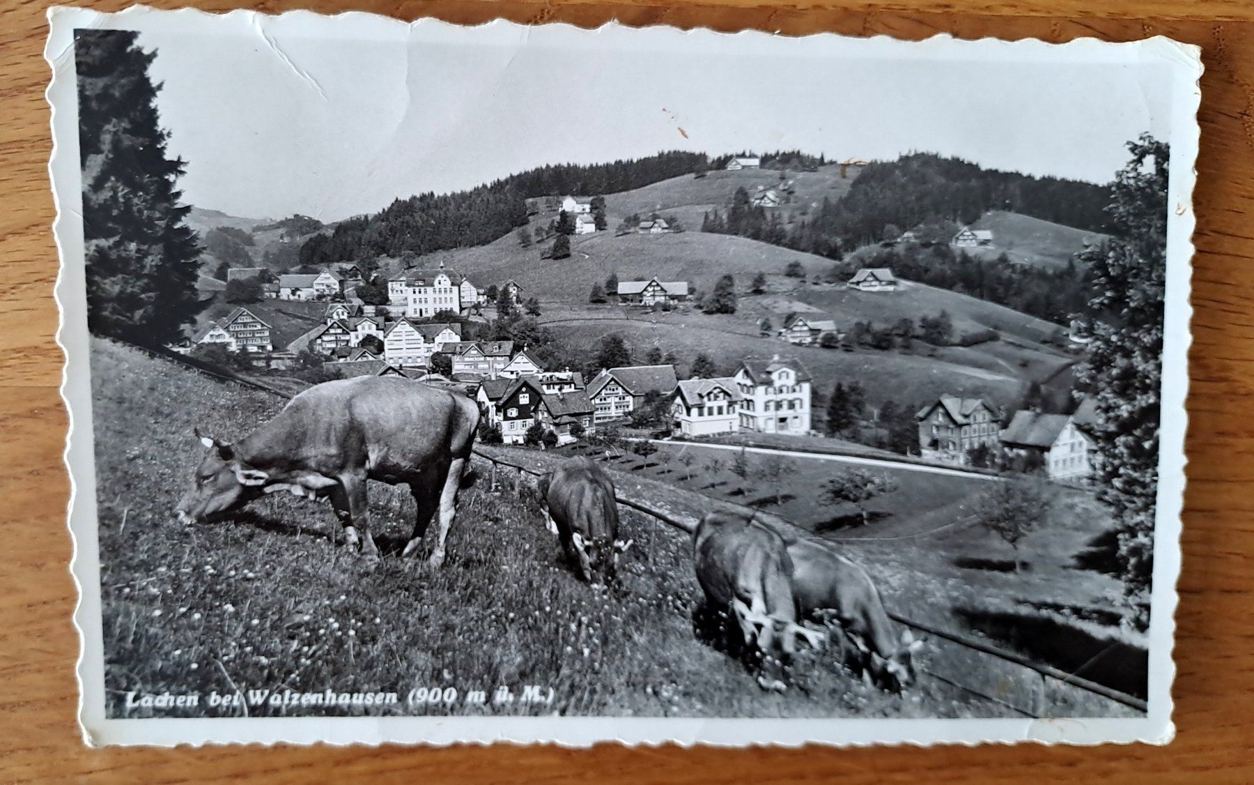 Ansichtskarten: Ansichtskarte Lachen AR bei Walzenhausen 1959 – Gebraucht aus Speicherschwendi von allowed-crime