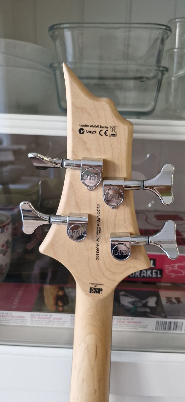 Strumenti musicali: E-Bass schwarz guter Zustand – Nuovo (secondo la descrizione) da Rupperswil venduto da Cielo46 2