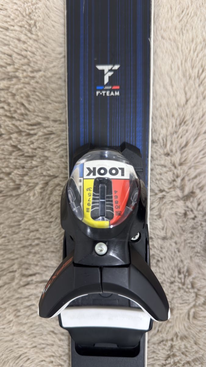 Dynastar Sci: Dynastar Speed Course Master GS Ski 173cm mit Look Bindung – Usato da Dietlikon venduto da kickboxer_999 2