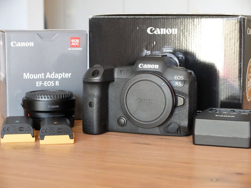 Canon R5 (gebraucht) mit Canon Adapter EF-EOS R (neu) (Gebraucht) in ...