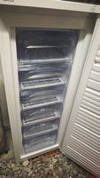 Prima-Vista Gefrierschrank, ideal für Sommer-Vorratslagerung