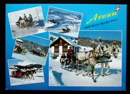 AROSA Pferdeschlitten - Pferdeschlitten - Pferdeschlitten