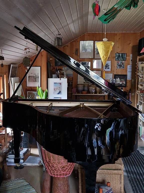 Strumenti musicali: Piano RX3 Conservatory 11000 fr – Usato da Les Bois venduto da chr_f8vy