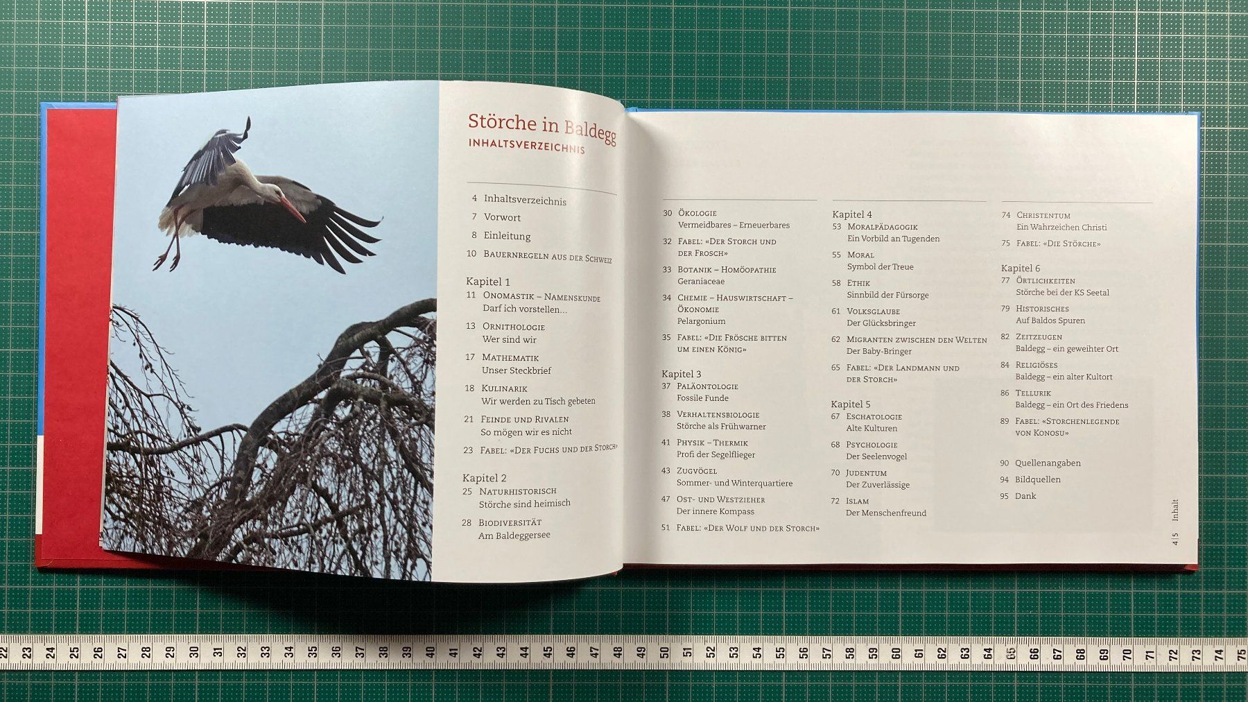 Libri: Maria Brun: STORCH, Schul- und Klosterbezirk Baldegg – Usato da Lenzburg venduto da fh1 1