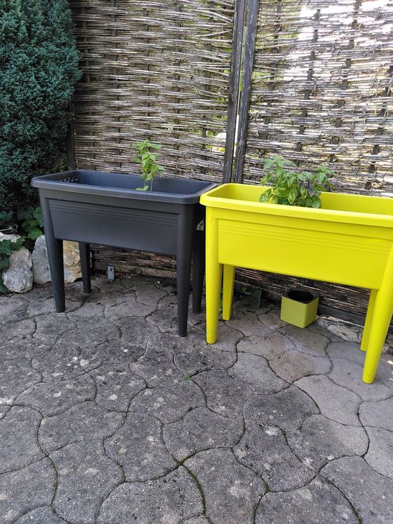 Elho Hochbeet aus recyclebarem Kunststoff Kaufen auf Ricardo
