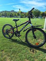 Kinder montainbike FELT Zwinty