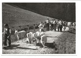 Alpaufzug - Tracht - Stempel Gasthaus Gäbris - Foto Gross