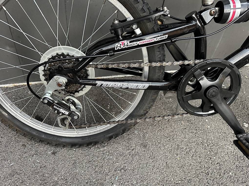 Velos: Bicicletta da bambino 20 fully Cobra  – Gebraucht aus Quartino von DiloUsato 5