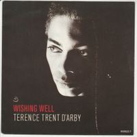 Terence Trent d'Arby - Wishing well 7" Vinyl 1987