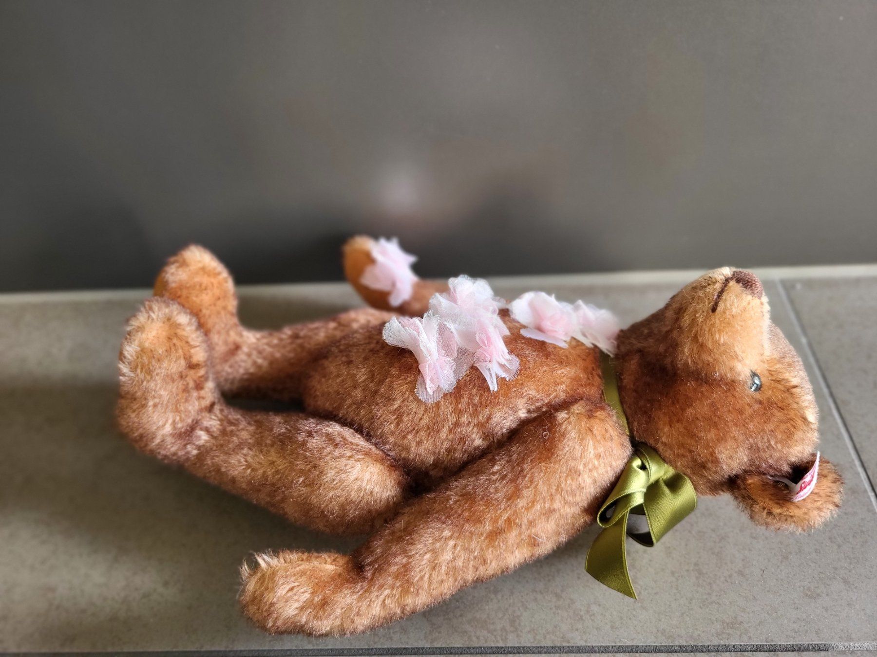Steiff Spielzeuge: Steiff Teddy – Neu (gemäss Beschreibung) aus Zürich von Orchidee 5