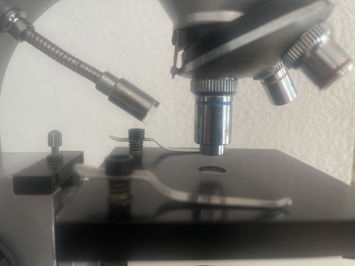 Microscopi: Barska Digitales LCD-Mikroskop – Usato da Port venduto da Kortes1 4