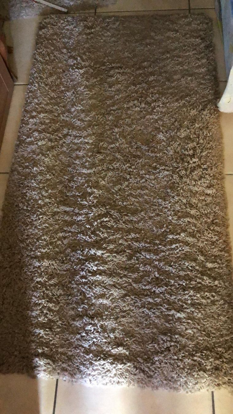 Tappeti: Teppich Langflor Beige – Usato da Rieden AG venduto da willy52 1