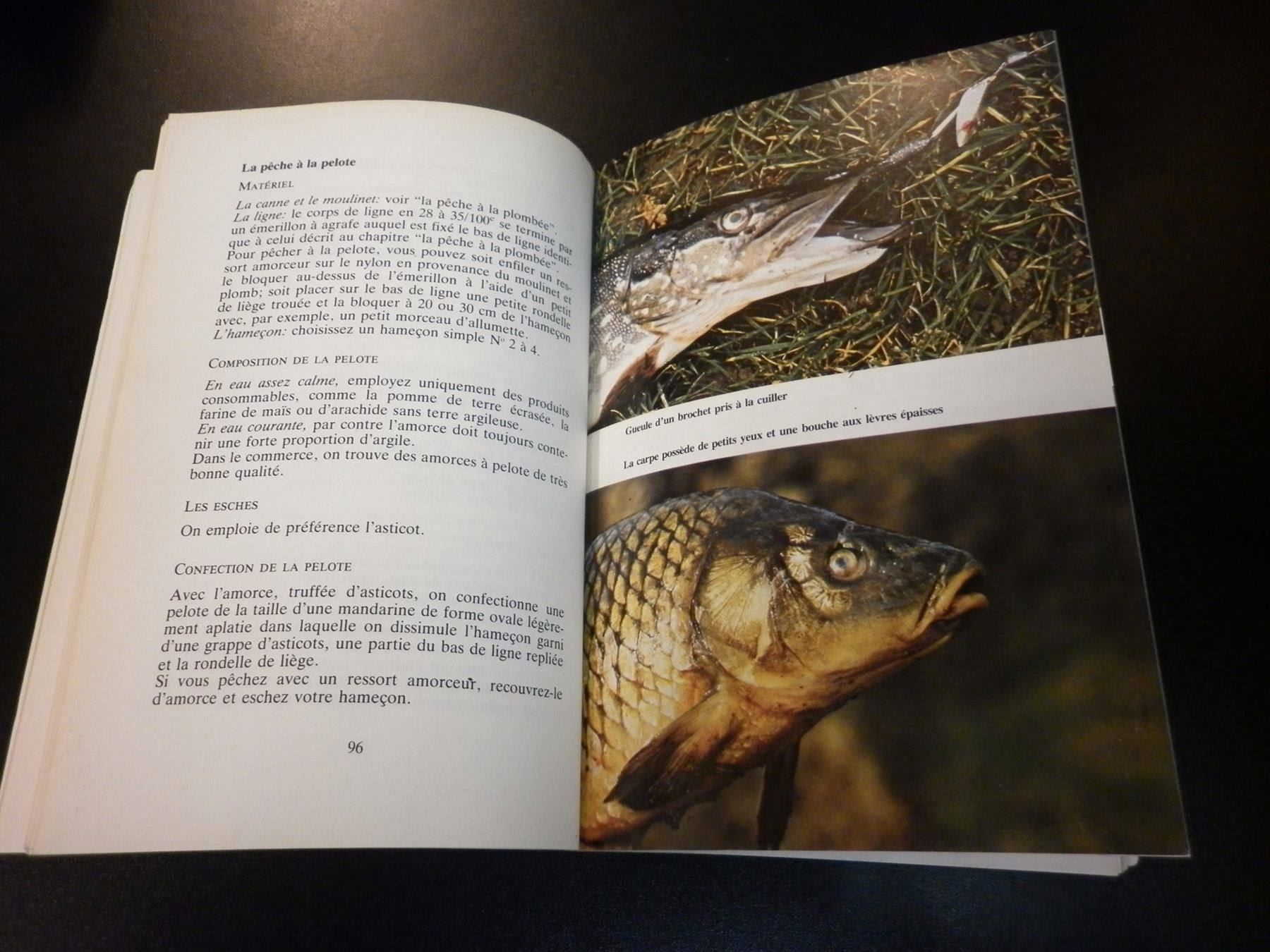 Bücher: La pêche en rivière de l'ablette... – Gebraucht aus Fribourg von versus702 1