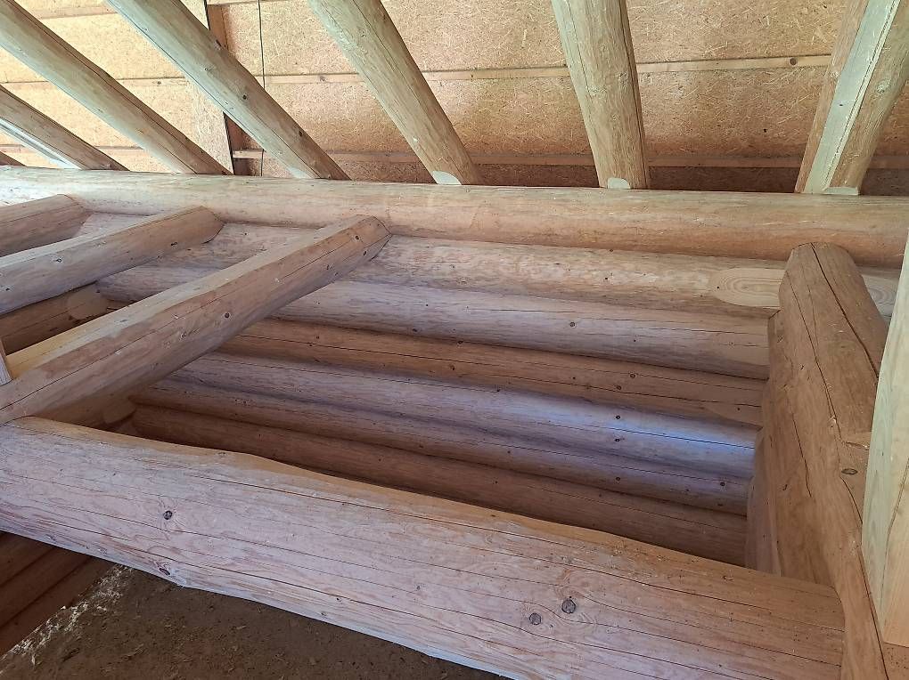 Articoli in legno: Blockhaus Rundstammhaus – Usato da Reinach AG venduto da sic02 2