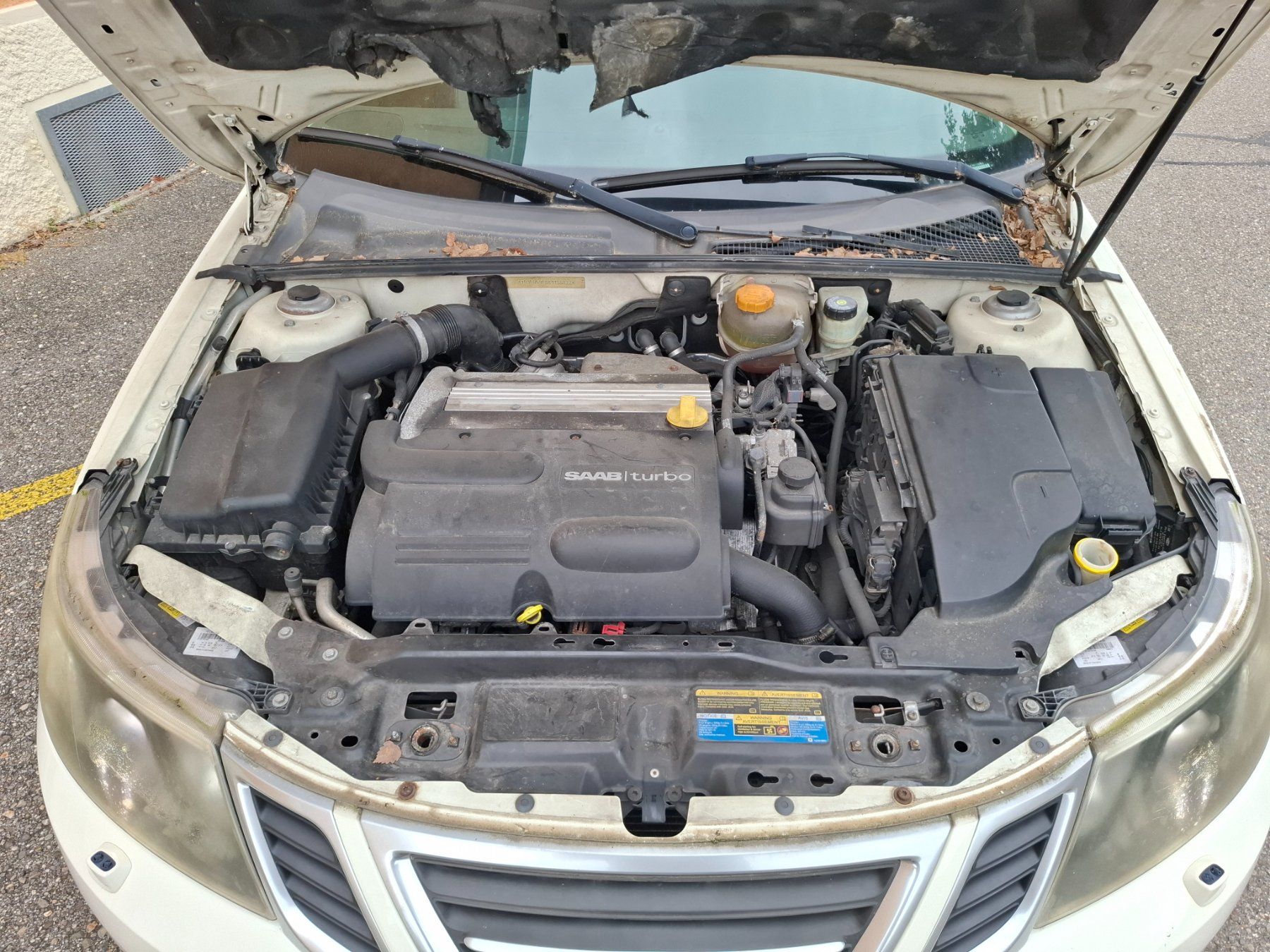 Saab Automobili: SAAB 9-3 2.0 Biopower – Usato da Derendingen venduto da Meisterstuecke 5