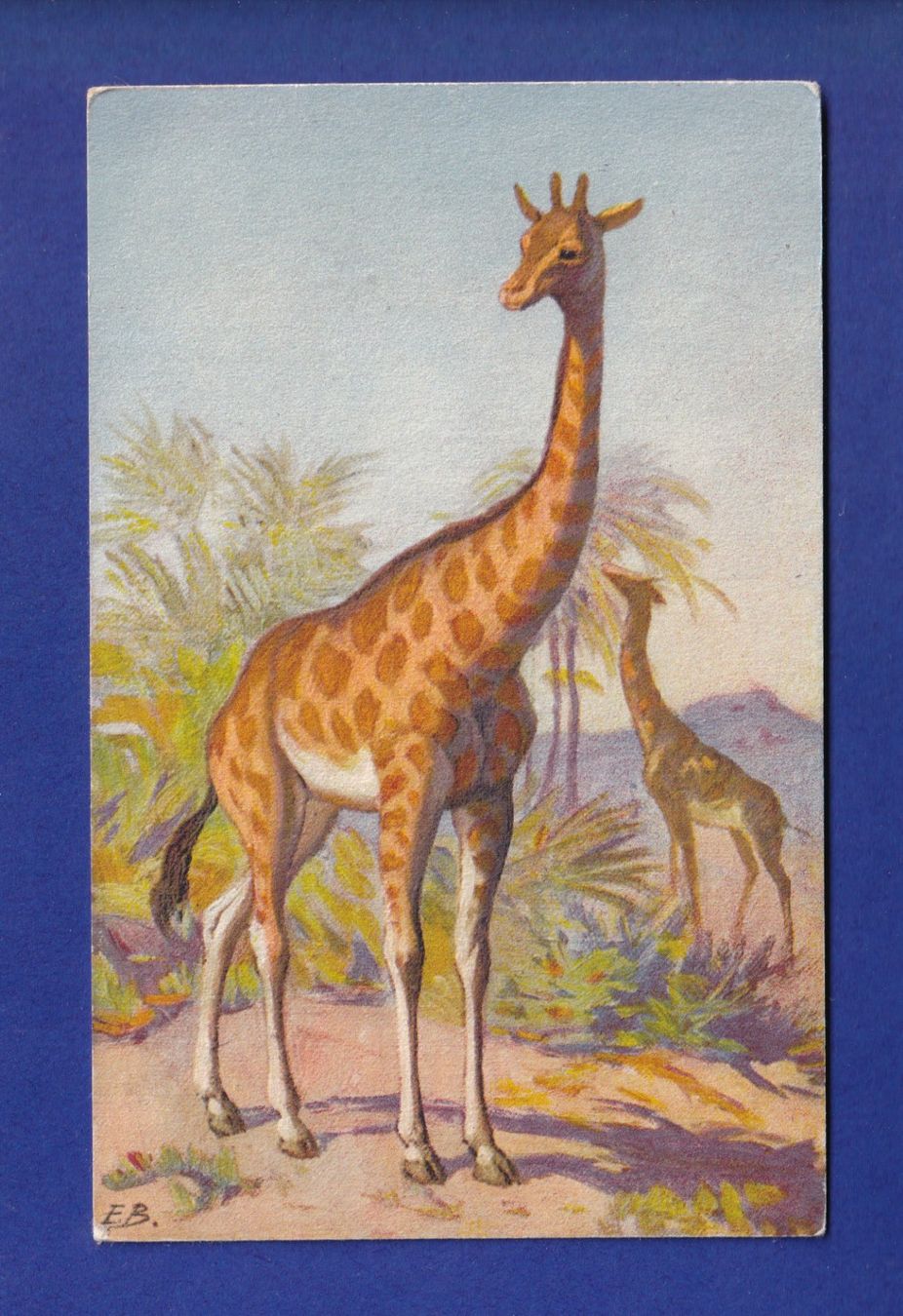 Cartoline postali: GIRAFE // voir dos // – Usato da Pully venduto da nicecards-shop