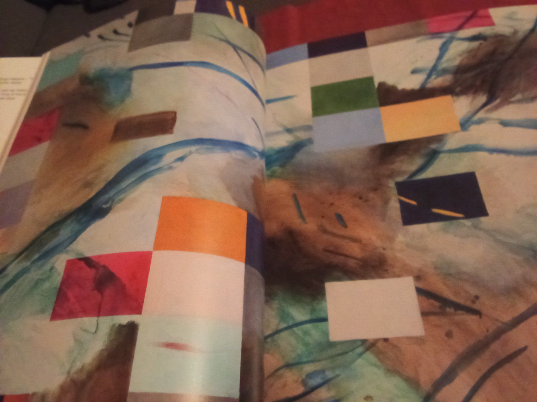 Libri: Birgit Megerle. The Painted Veil – Usato da Remetschwil venduto da Privatflohmi 2
