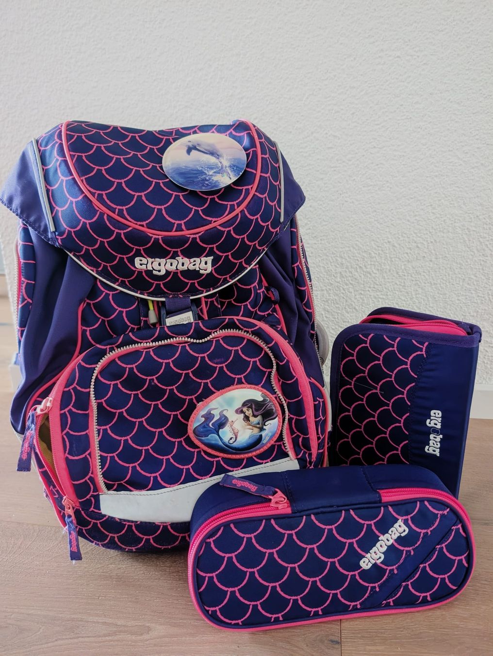 Ergobag Zaini: Ergobag Schulrucksack in top Zustand – Usato da Bolligen venduto da salimala
