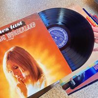 James Last Platte Sammlung guter Zustand