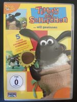 Timmy das Schäfchen, …will gewinnen