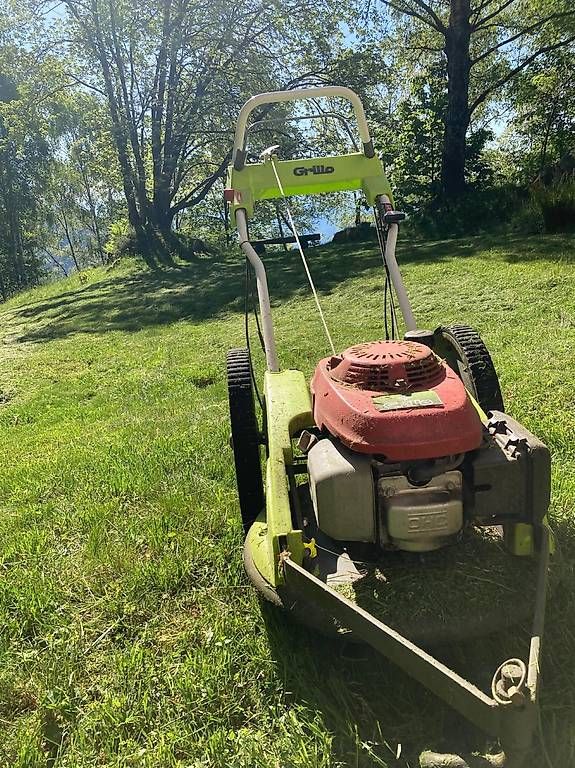 Rasenmäher: Vendo tosaerba Grillo – Gebraucht aus Mergoscia von cad_9chw
