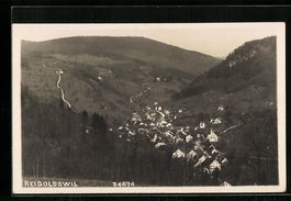 Reigoldswil, Blick vom Berg auf den Ort