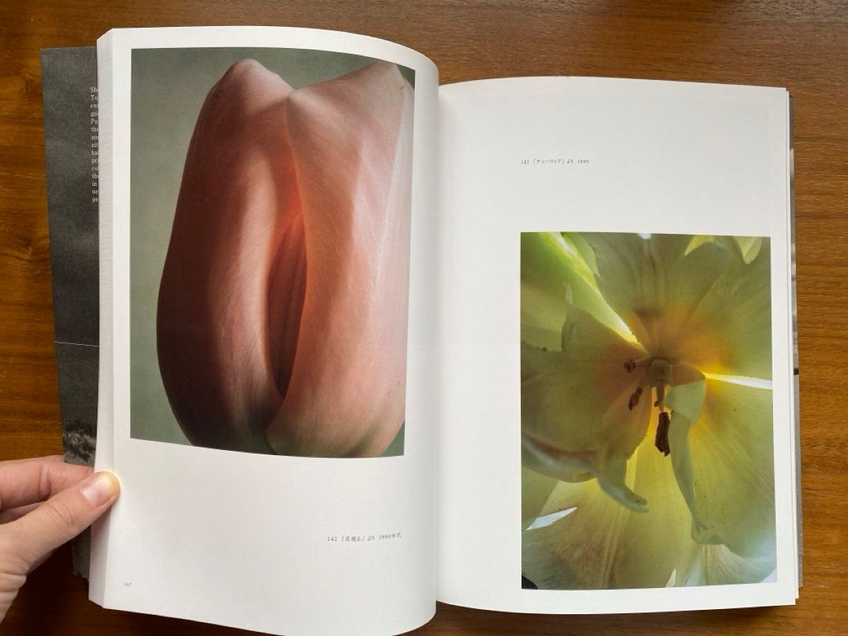 Libri: Shoji Ueda. Process and creation – Usato da Zürich venduto da ann_9fv5 2