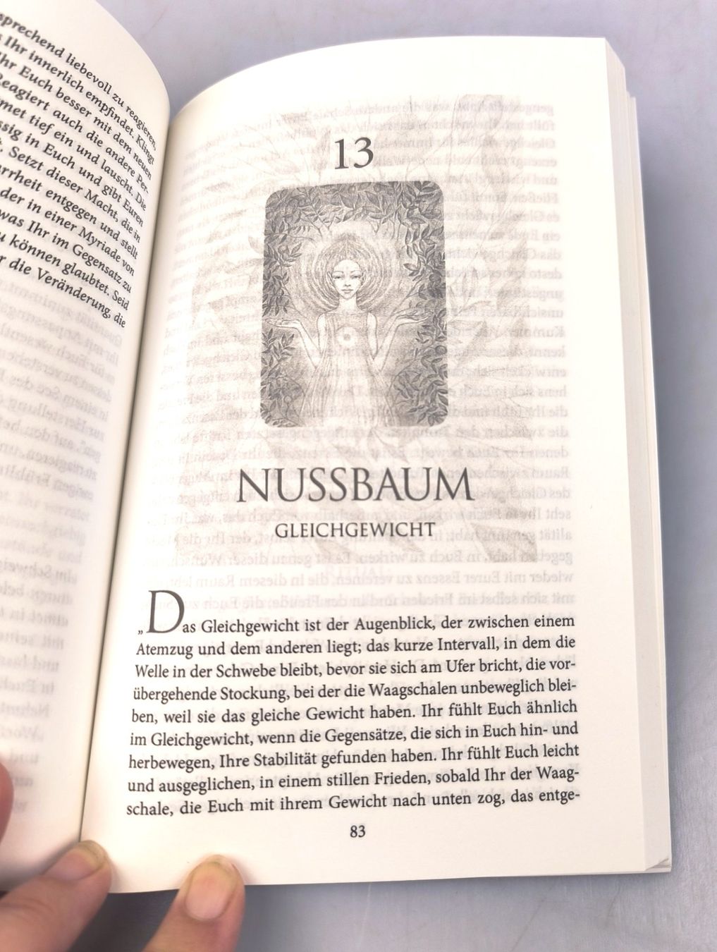 Spiele: Baumgeister Orakel – Gebraucht aus Rüti ZH von Restwert_Rueti_ZH 4