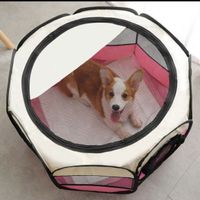 Hundebox Faltbar